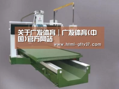 产品名称十