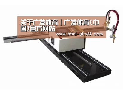 案例展示一
