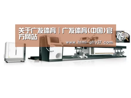 案例展示五