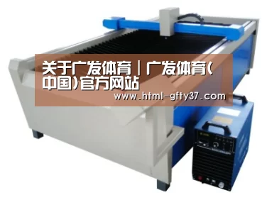 产品名称十七
