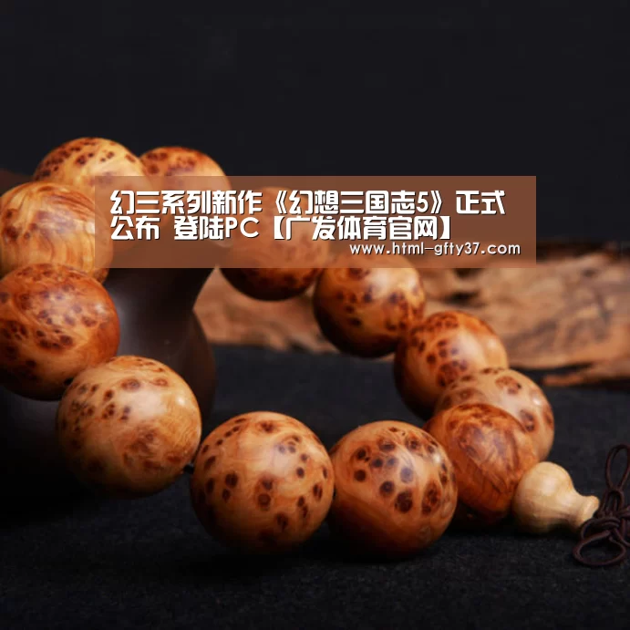 幻三系列新作《幻想三国志5》正式公布 登陆PC【广发体育官网】(图3) 广发体育app