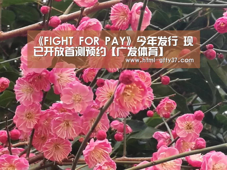 《FIGHT FOR PAY》今年发行 现已开放首测预约【广发体育】(图2) 广发体育