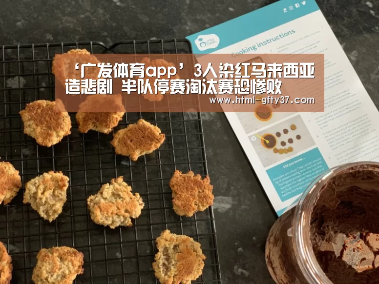 ‘广发体育app’3人染红马来西亚造悲剧 半队停赛淘汰赛恐惨败(图1) 广发体育app
