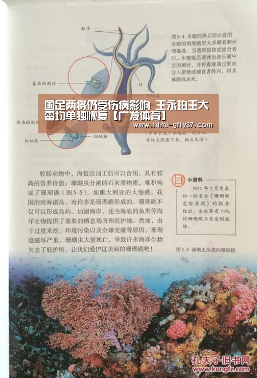 广发体育官网
