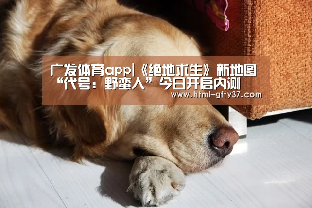 广发体育