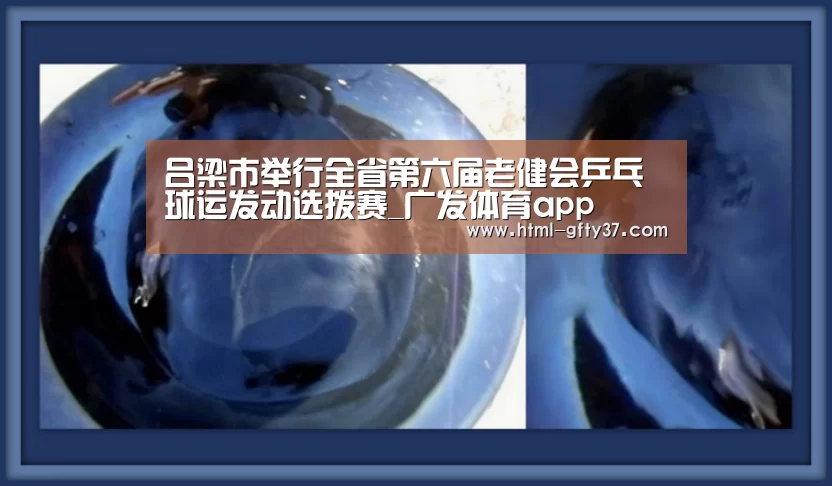 广发体育