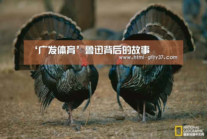 广发体育