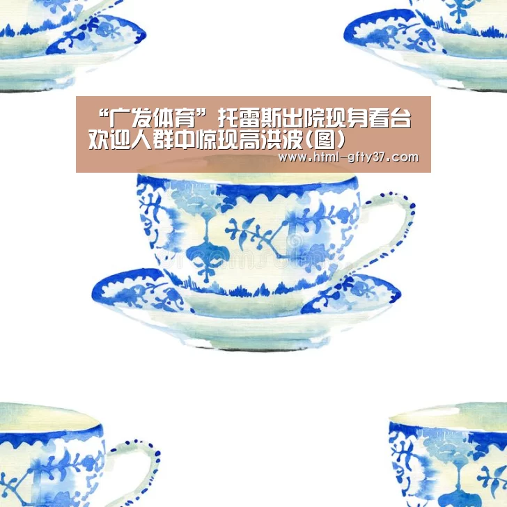 “广发体育”托雷斯出院现身看台 欢迎人群中惊现高洪波(图)(图3) 广发体育app