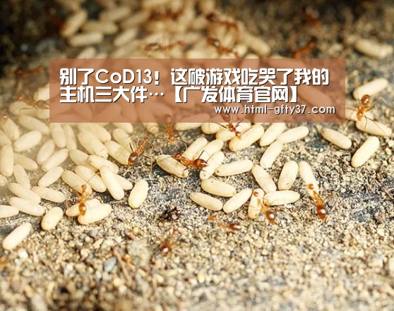 别了CoD13!这破游戏吃哭了我的主机三大件…【广发体育官网】(图3) 广发体育