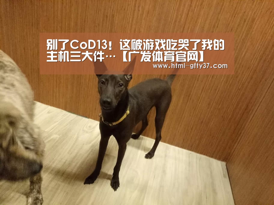 别了CoD13!这破游戏吃哭了我的主机三大件…【广发体育官网】(图4) 广发体育官网